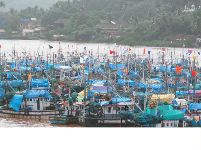 Panjim Fishing Fleet
