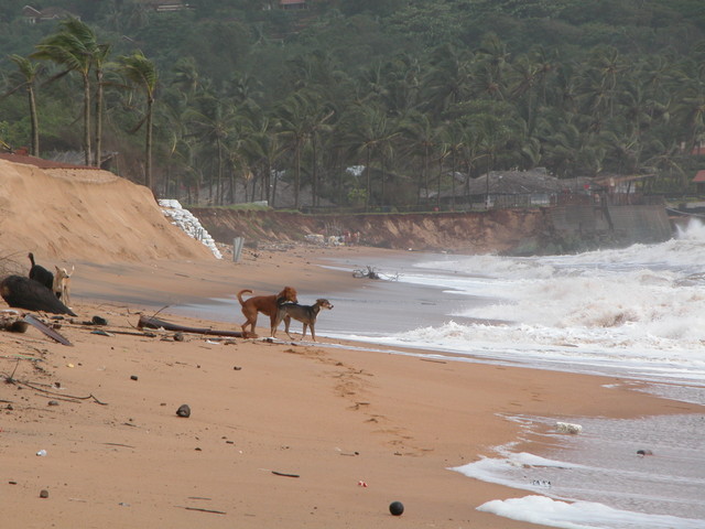 Beach Fun