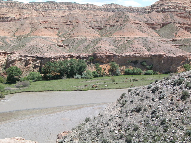 Charyn Canyon